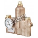 Thermostatic mixing valve, brass, 26 GPM (98.4 L/min) at 30 PSI, certified ANSI Z358.1-2009. For combination emergency showers.