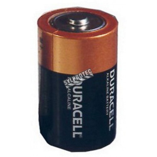 Alkaline battery D 1.5 V