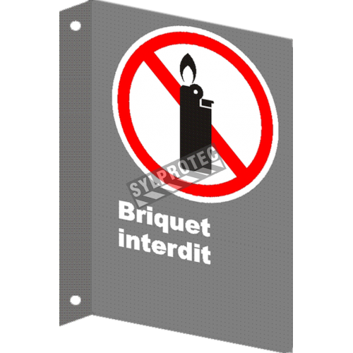 French CSA &quot;No Lighters Allowed&quot; sign in various sizes, shapes, materials &amp; languages + optional features